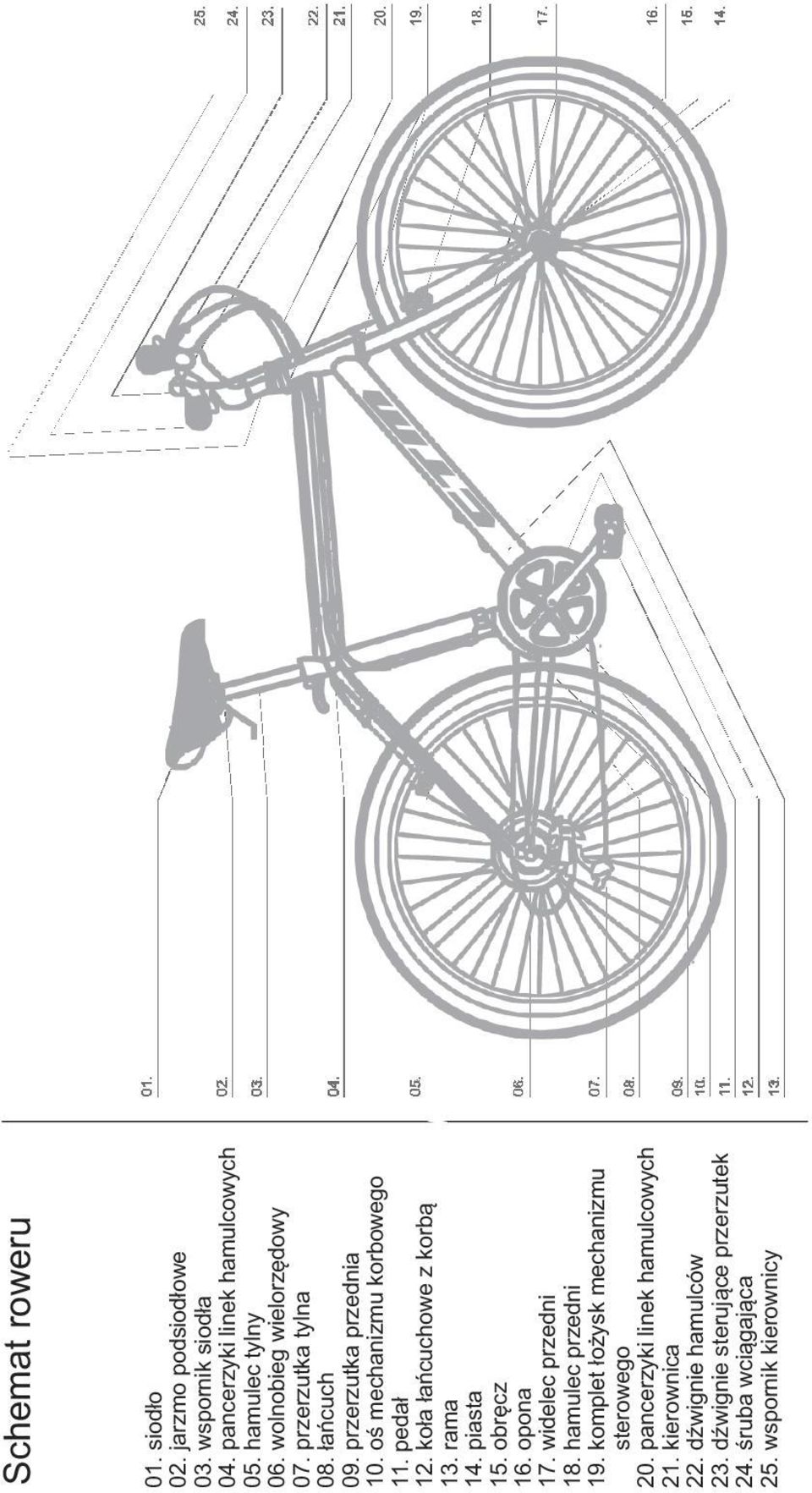 ko ła ła ń cuchowe z korb ą 13. rama 14. piasta 15. obr ę cz 16. opona 17. widelec przedni 18. hamulec przedni 19.