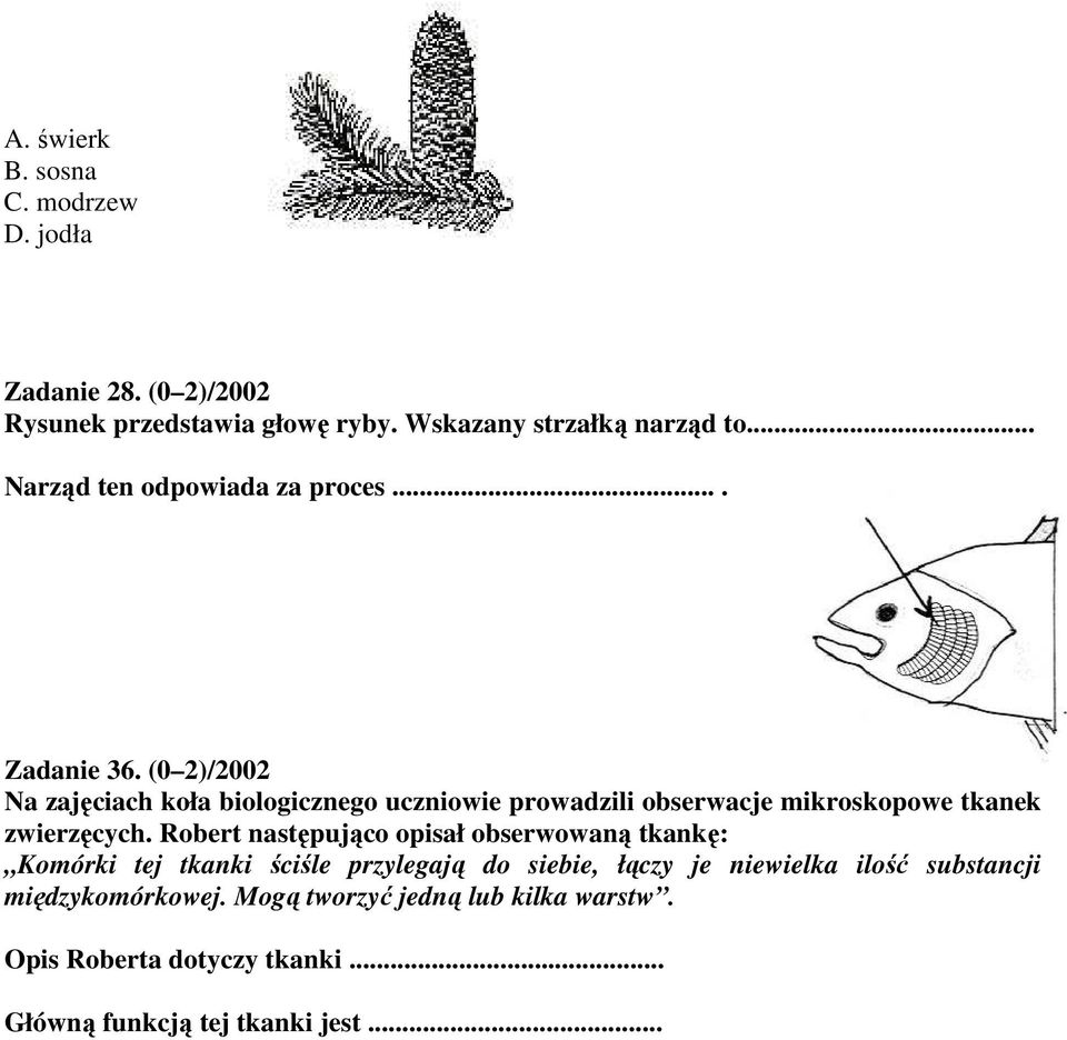 (0 2)/2002 Na zajęciach koła biologicznego uczniowie prowadzili obserwacje mikroskopowe tkanek zwierzęcych.