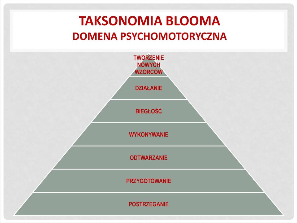 WZORCÓW DZIAŁANIE BIEGŁOŚĆ