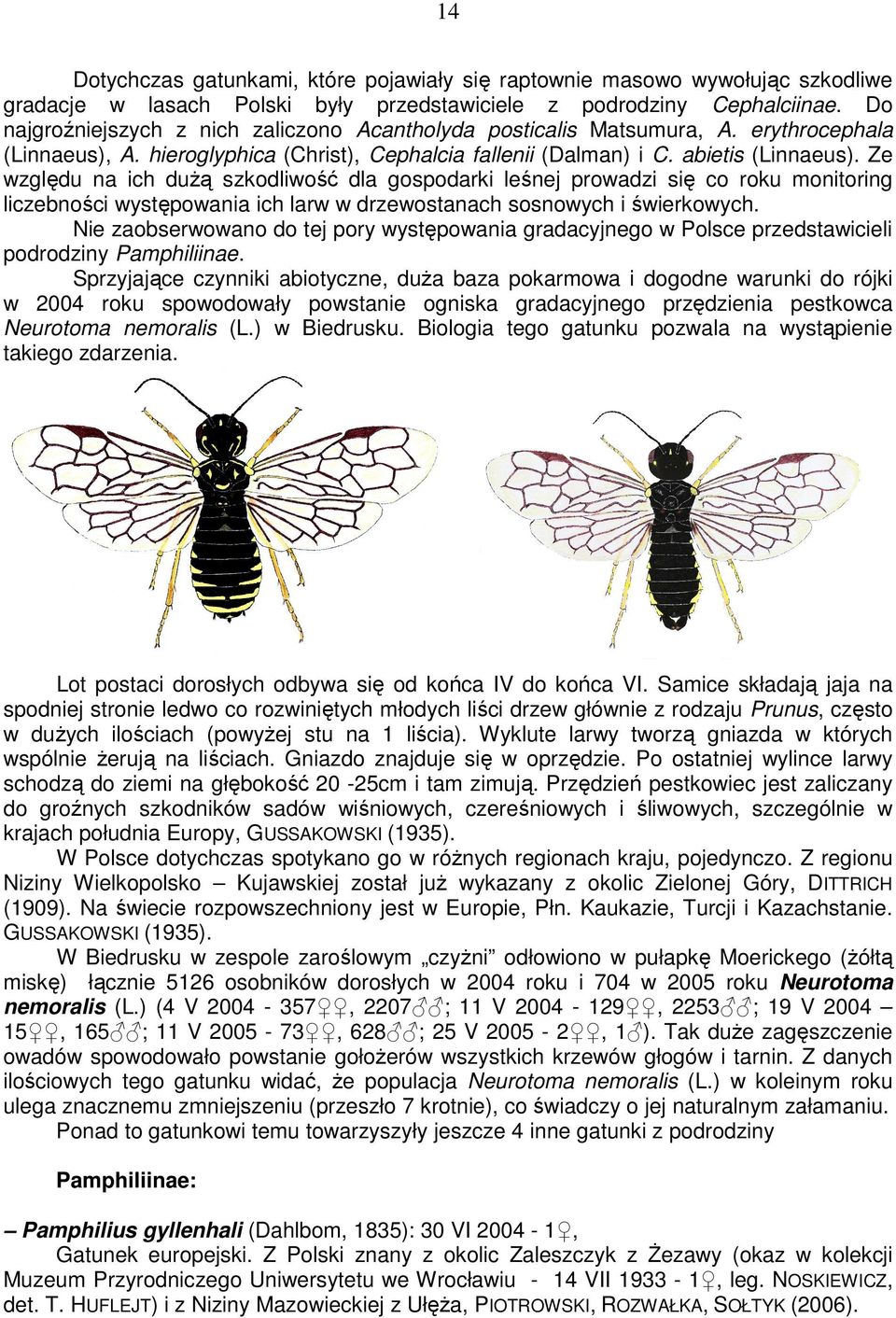 Ze względu na ich duŝą szkodliwość dla gospodarki leśnej prowadzi się co roku monitoring liczebności występowania ich larw w drzewostanach sosnowych i świerkowych.