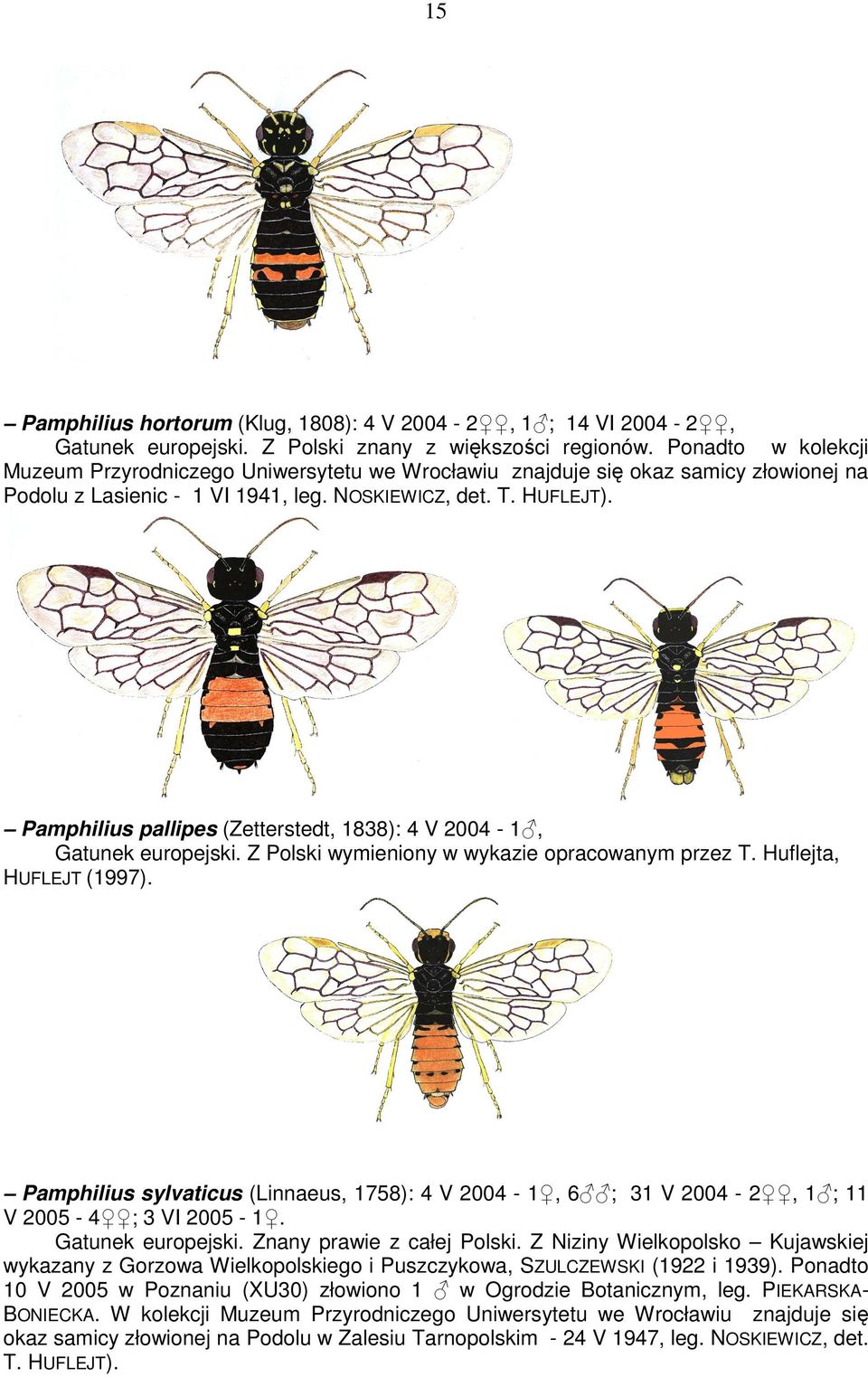 Pamphilius pallipes (Zetterstedt, 1838): 4 V 2004-1, Gatunek europejski. Z Polski wymieniony w wykazie opracowanym przez T. Huflejta, HUFLEJT (1997).