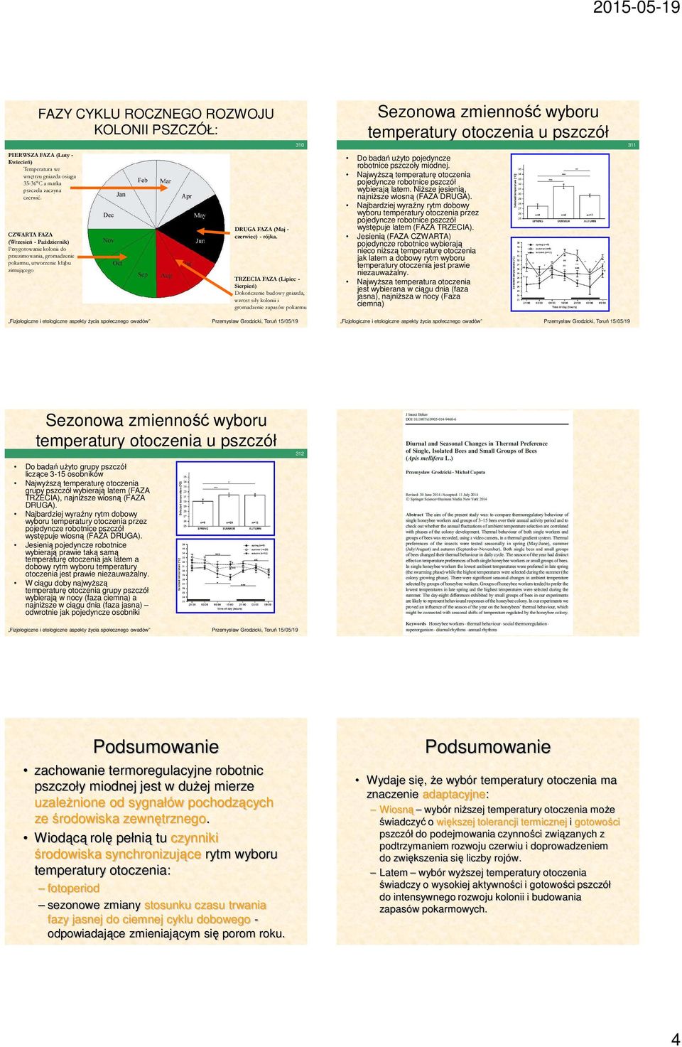 CZWARTA FAZA (Wrzesień - Październik) Przygotowanie kolonii do przezimowania, gromadzenie pokarmu, utworzenie kłąbu zimującego TRZECIA FAZA (Lipiec Sierpień) Dokończenie budowy gniazda, wzrost siły