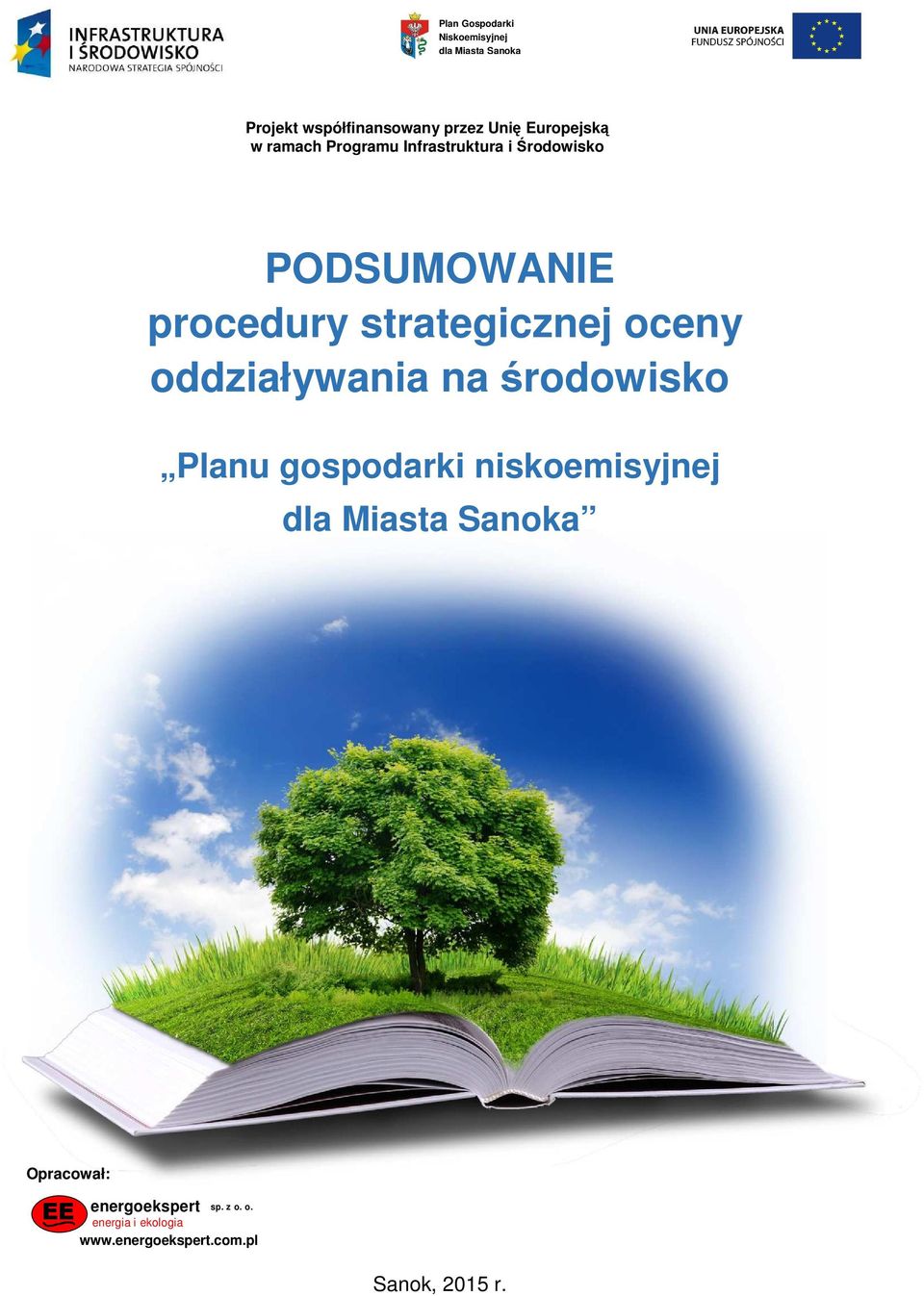 PODSUMOWANIE procedury strategicznej oceny oddziaływania na środowisko Planu