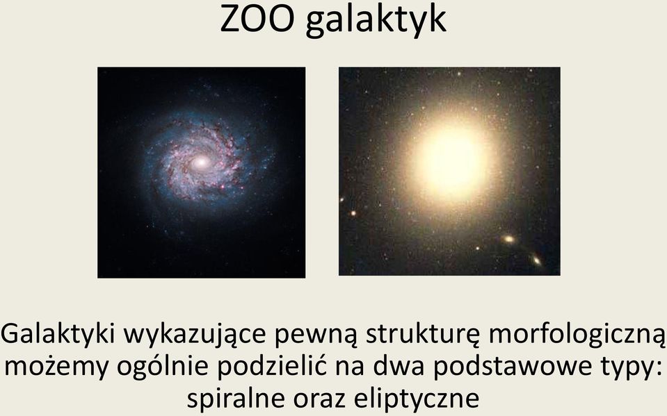 możemy ogólnie podzielić na dwa