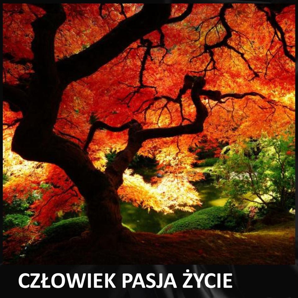 ŻYCIE