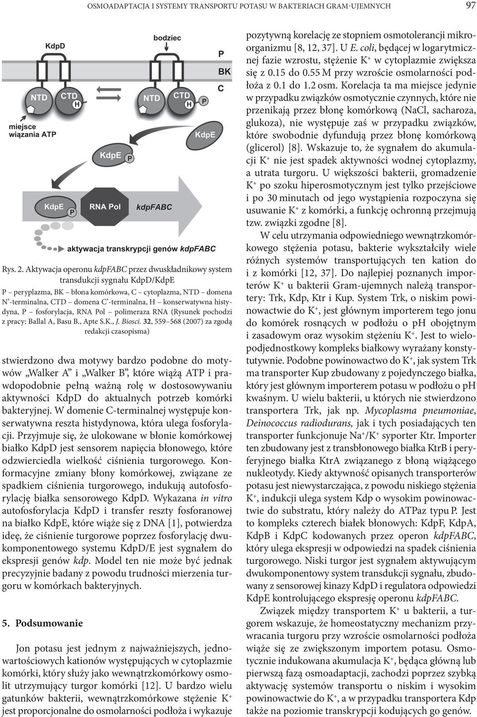 histydyna, P fosforylacja, RNA Pol polimeraza RNA (Rysunek pochodzi z pracy: Ballal A, Basu B., Apte S.K., J. Biosci.