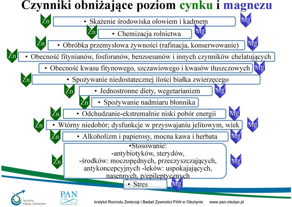 Jednostronne diety, wegetarianizm Spożywanie nadmiaru błonnika Odchudzanie-ekstremalnie niski pobór energii Wtórny niedobór; dysfunkcje w przyswajaniu jelitowym, wiek Zn Zn Alkoholizm i