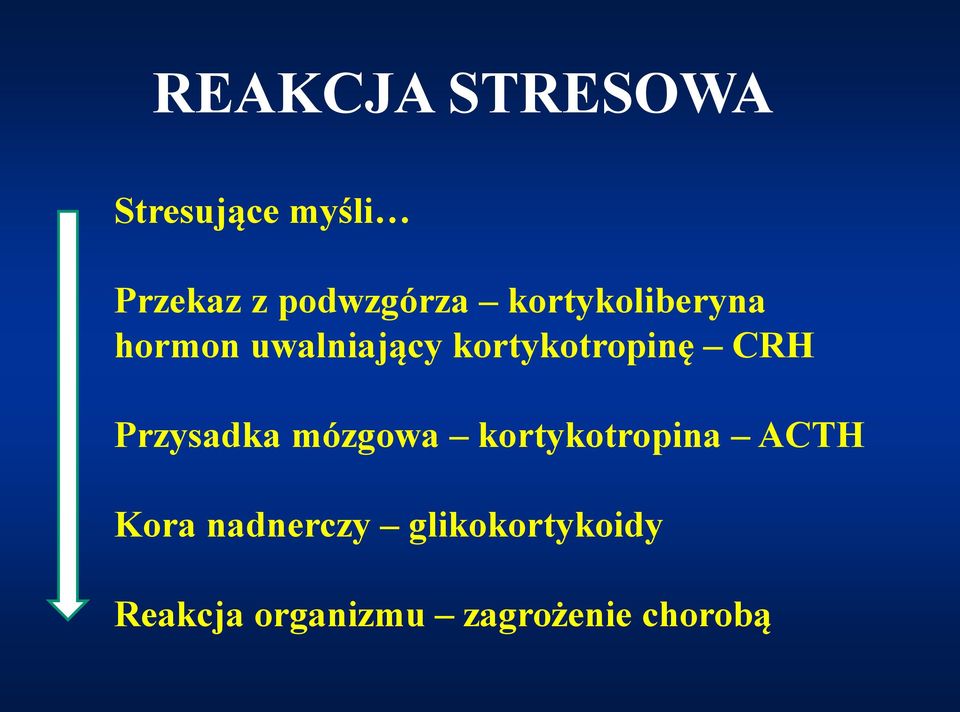 kortykotropinę CRH Przysadka mózgowa kortykotropina