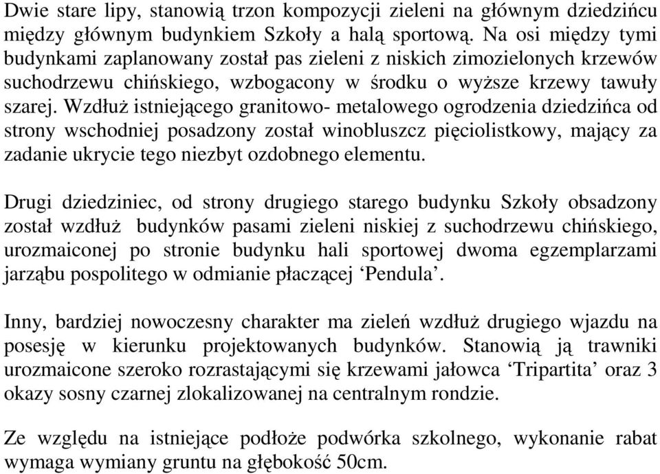 Wzdłuż istniejącego granitowo- metalowego ogrodzenia dziedzińca od strony wschodniej posadzony został winobluszcz pięciolistkowy, mający za zadanie ukrycie tego niezbyt ozdobnego elementu.