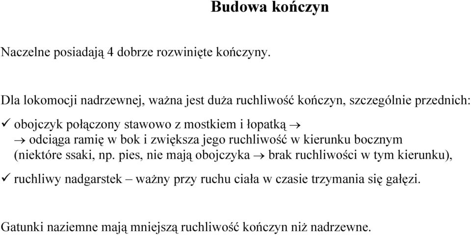 mostkiem i łopatką odciąga ramię w bok i zwiększa jego ruchliwość w kierunku bocznym (niektóre ssaki, np.