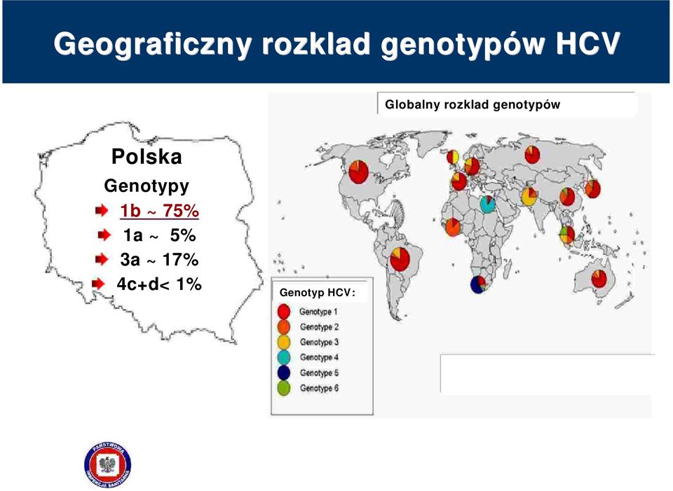 Polska Genotypy 1b ~ 75% 1a ~ 5%