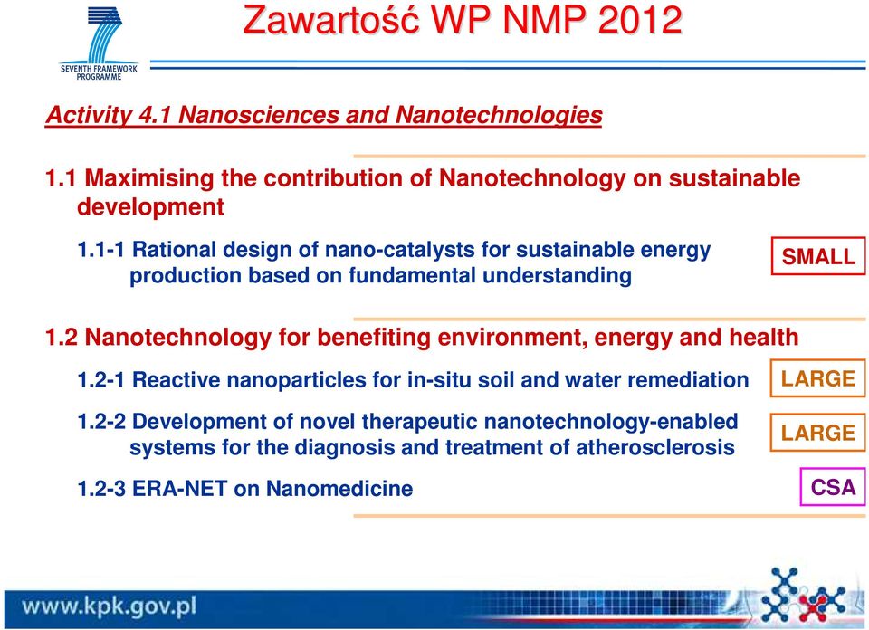 1-1 Rational design of nano-catalysts for sustainable energy production based on fundamental understanding SMALL 1.