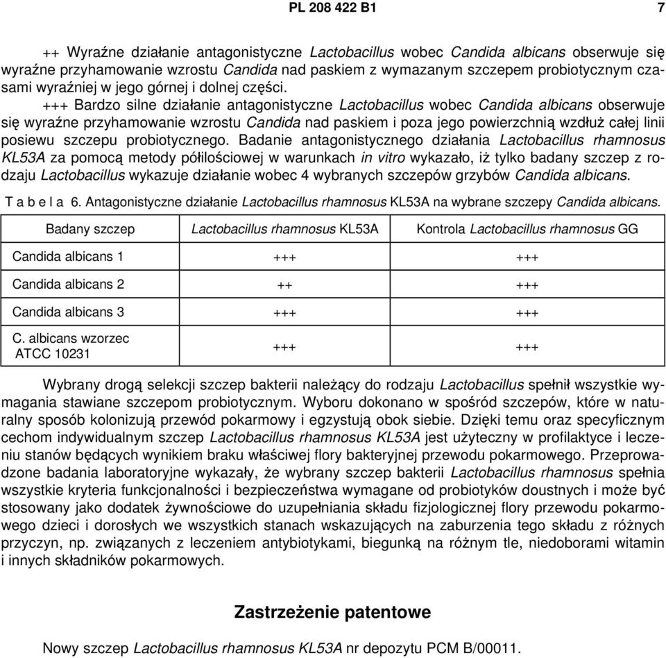 +++ Bardzo silne działanie antagonistyczne Lactobacillus wobec Candida albicans obserwuje się wyraźne przyhamowanie wzrostu Candida nad paskiem i poza jego powierzchnią wzdłuż całej linii posiewu