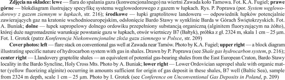 216); œrodkowe ³upki graptolitowe landoweru odpowiednik ³upków potencjalnie zawieraj¹cych gaz na kratonie wschodnioeuropejskim, ods³oniêcie Bardo Stawy w synklinie Barda w Górach Œwiêtokrzyskich. Fot.