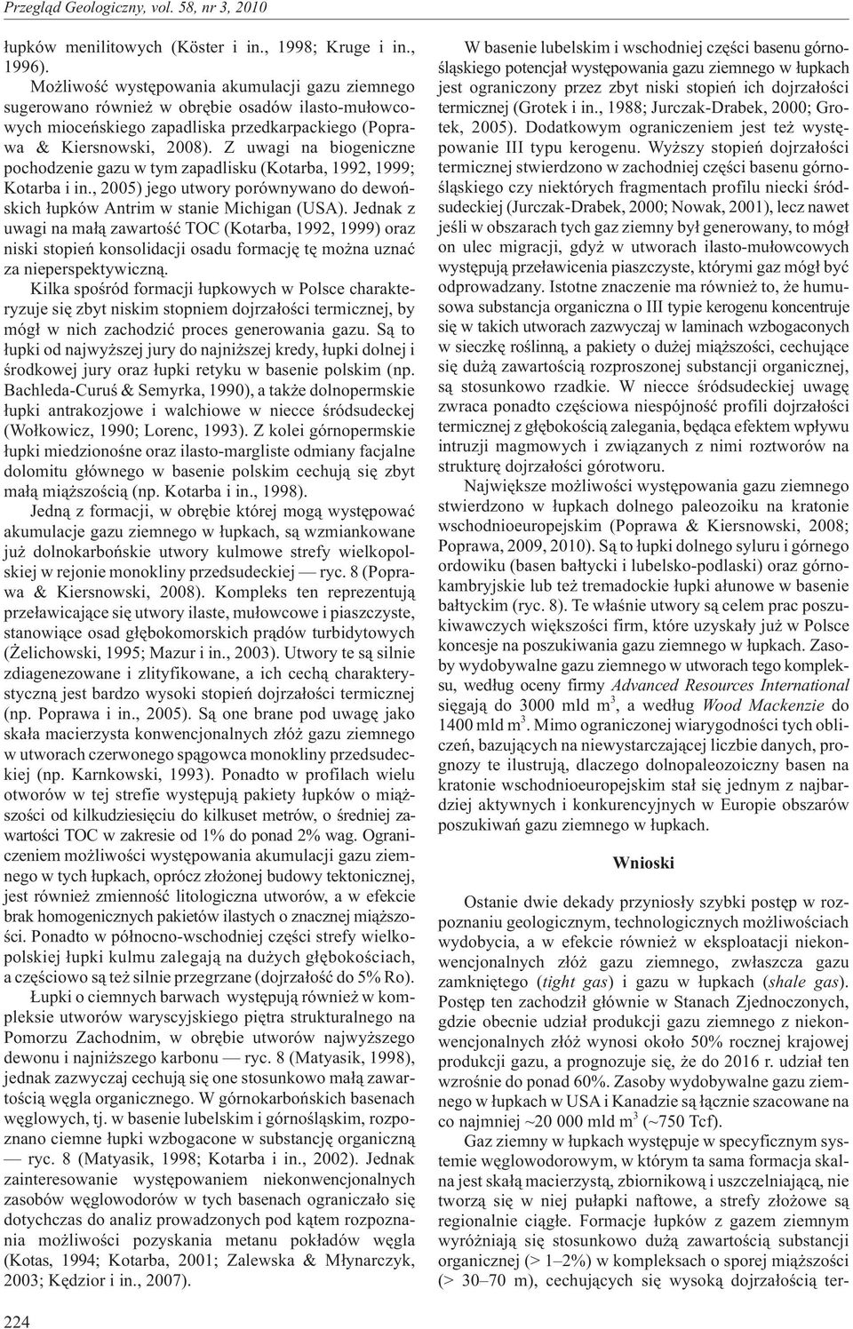 Z uwagi na biogeniczne pochodzenie gazu w tym zapadlisku (Kotarba, 1992, 1999; Kotarba i in., 2005) jego utwory porównywano do dewoñskich ³upków Antrim w stanie Michigan (USA).