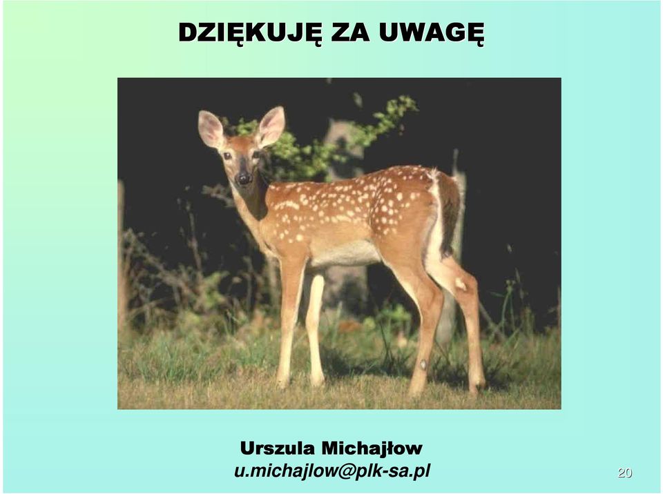 Michajłow u.