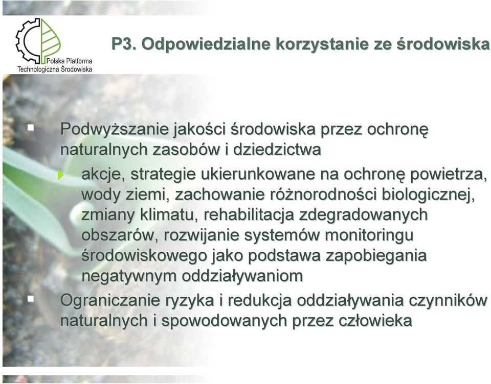 biologicznej, zmiany klimatu, rehabilitacja zdegradowanych obszarów, rozwijanie systemów w monitoringu środowiskowego jako