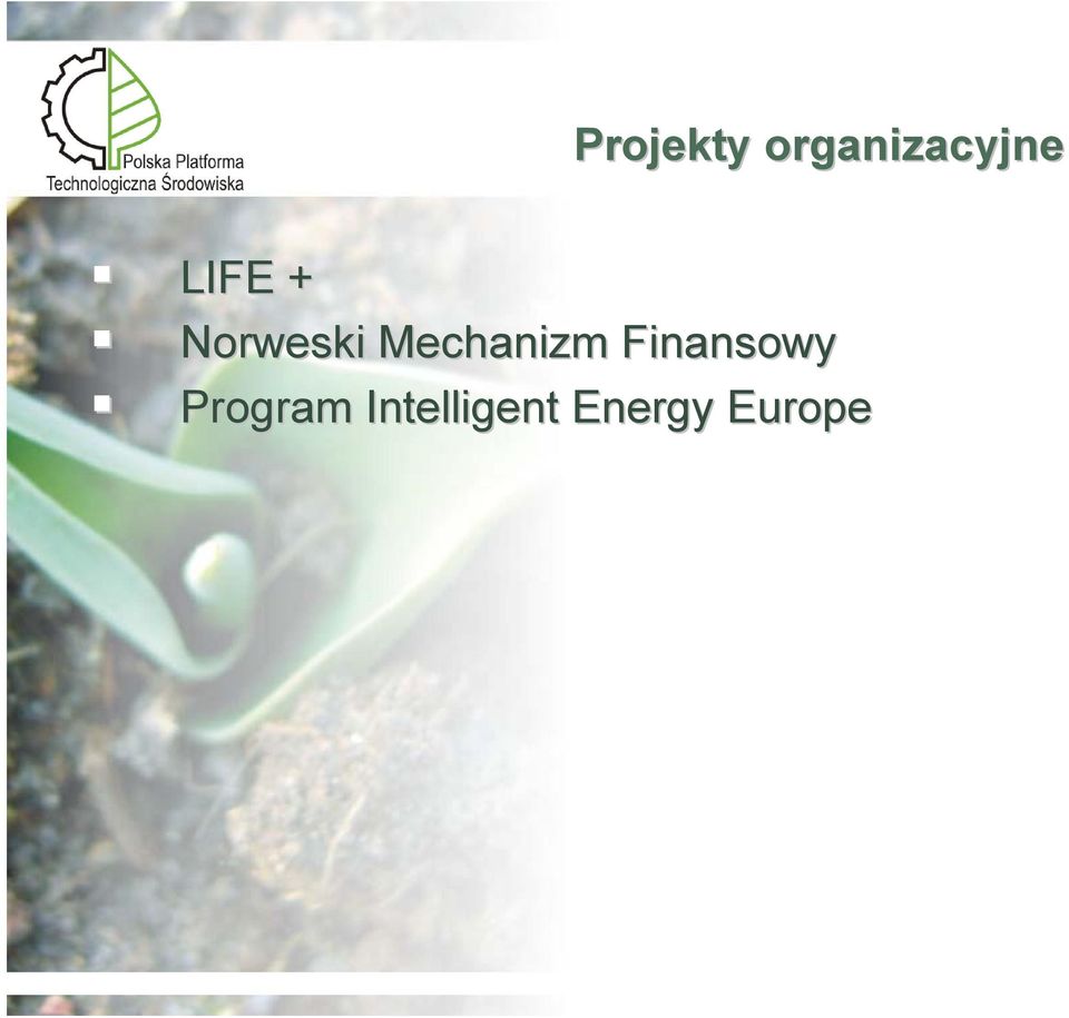 Mechanizm Finansowy