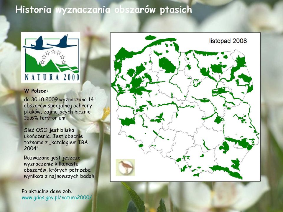 Sieć OSO jest bliska ukończenia. Jest obecnie tożsama z katalogiem IBA 2004.