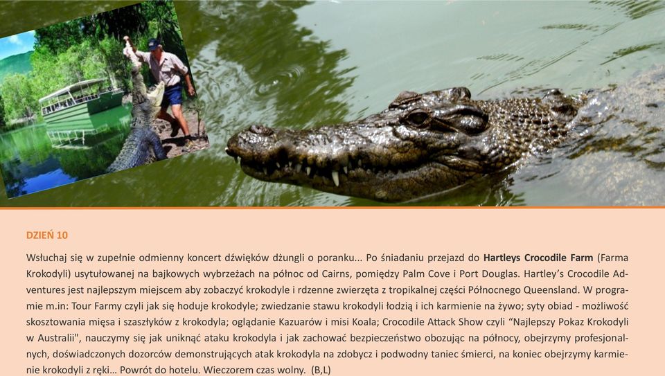 Hartley s Crocodile Adventures jest najlepszym miejscem aby zobaczyć krokodyle i rdzenne zwierzęta z tropikalnej części Północnego Queensland. W programie m.