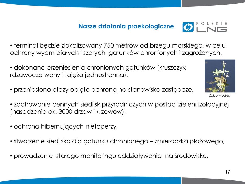 ochroną na stanowiska zastępcze, zachowanie cennych siedlisk przyrodniczych w postaci zieleni izolacyjnej (nasadzenie ok.