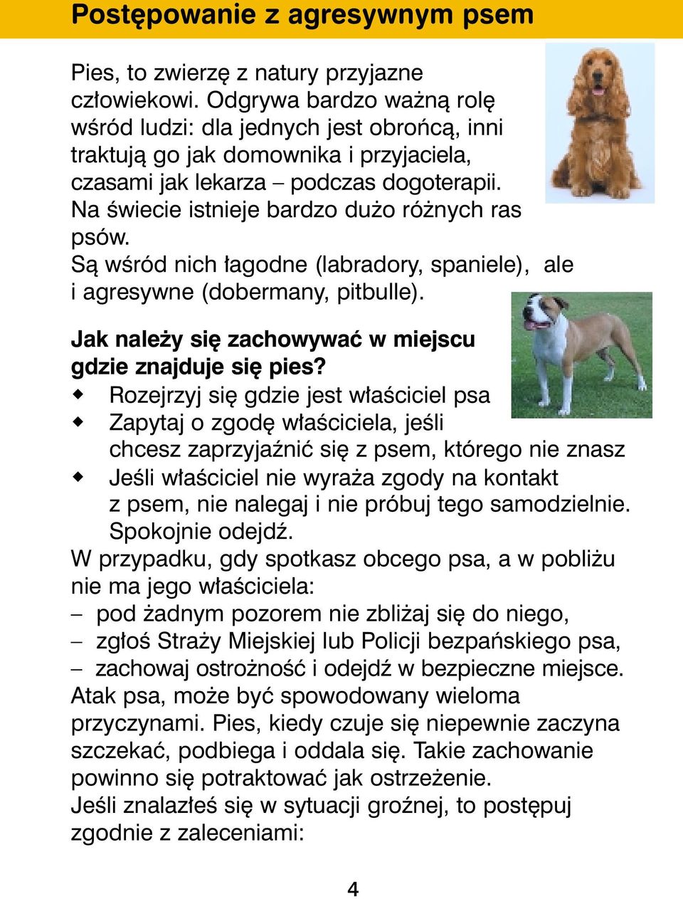 Sà wêród nich agodne (labradory, spaniele), ale i agresywne (dobermany, pitbulle). Jak nale y si zachowywaç w miejscu gdzie znajduje si pies?