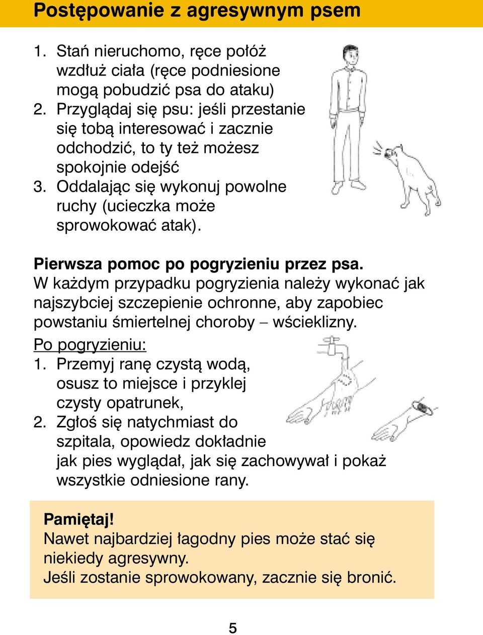 Pierwsza pomoc po pogryzieniu przez psa. W ka dym przypadku pogryzienia nale y wykonaç jak najszybciej szczepienie ochronne, aby zapobiec powstaniu Êmiertelnej choroby wêcieklizny. Po pogryzieniu: 1.