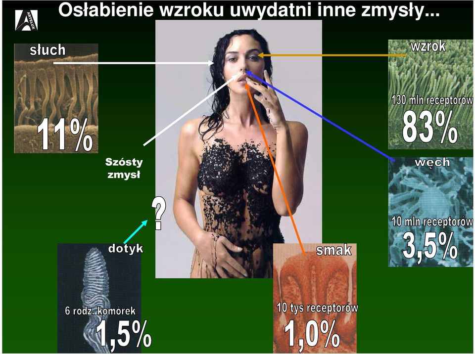 uwydatni inne
