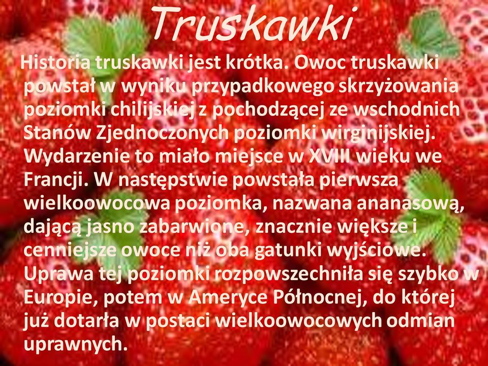 wirginijskiej. Wydarzenie to miało miejsce w XVIII wieku we Francji.