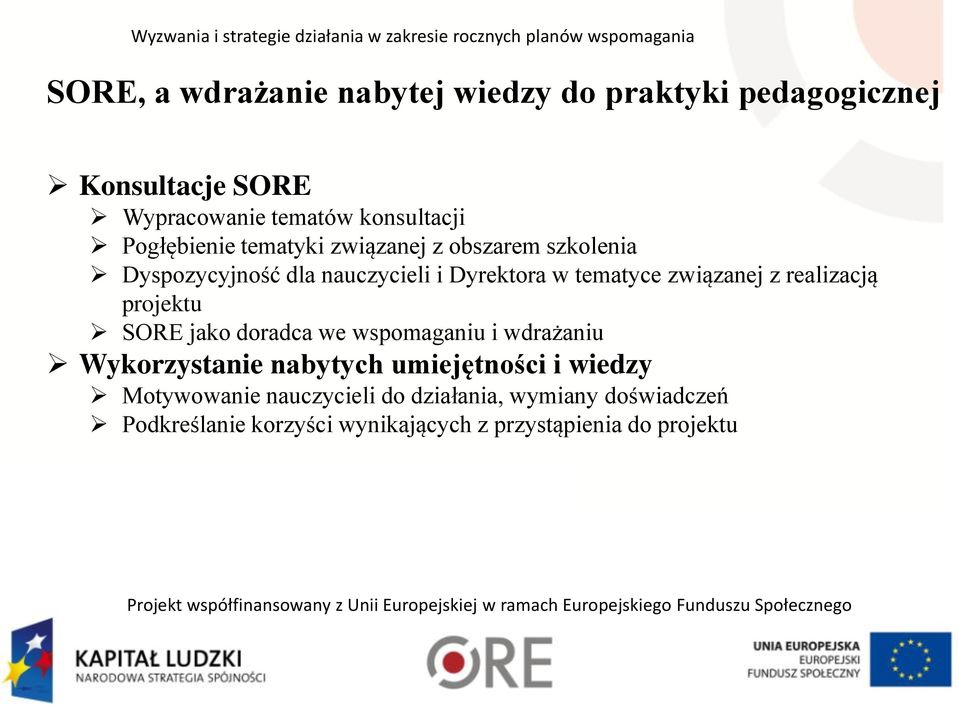 związanej z realizacją projektu SORE jako doradca we wspomaganiu i wdrażaniu Wykorzystanie nabytych umiejętności i