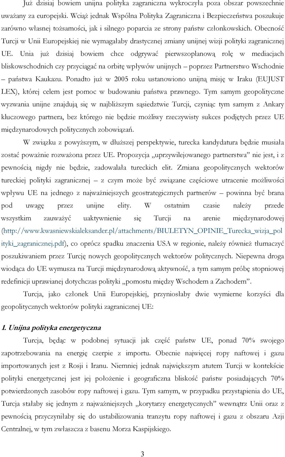 Obecność Turcji w Unii Europejskiej nie wymagałaby drastycznej zmiany unijnej wizji polityki zagranicznej UE.