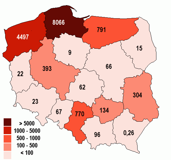 Produkcja pstrągów w