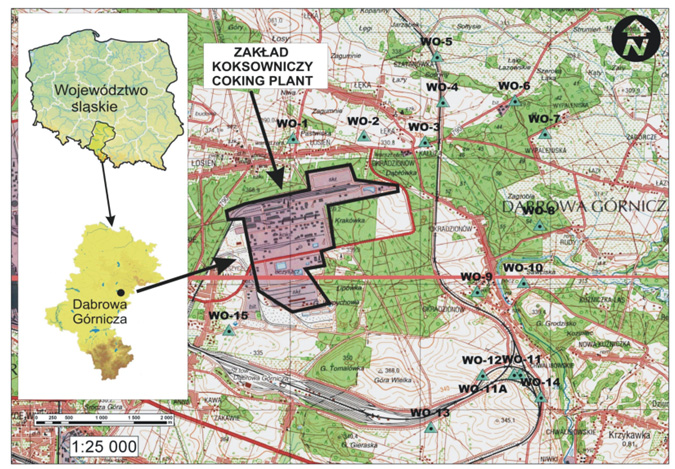 4 Kuna P., 2011. Zanieczyszczenie wybranych komponentów środowiska przez wielopierścieniowe węglowodory Rys. 3.