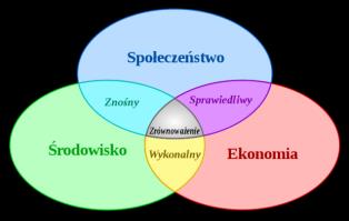 Na bazie powyższego wyodrębniono trzy główne obszary wpływające na poziom zrównoważenia światowej gospodarki, a mianowicie: środowisko (konieczność przemyślanego i ostrożnego korzystania ze