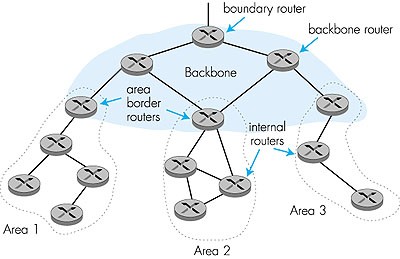 Hierarchiczny OSPF ruter brzegowy ruter szkieletowy rutery brzegowe