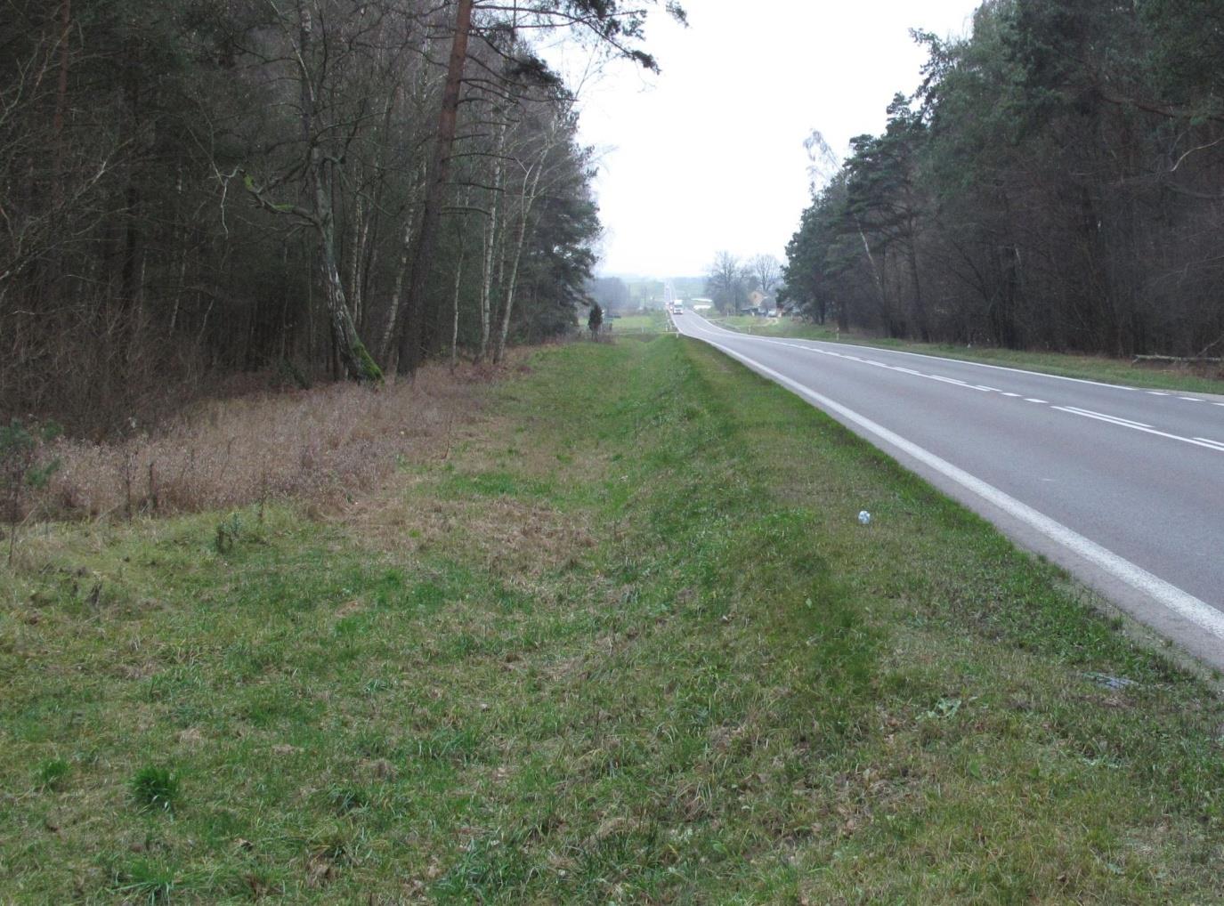 Inwestycje liniowe DK 55, Dusocin, proponowane przejście po powierzchni Zalecane rozwiązania: montaż specjalnych znaków