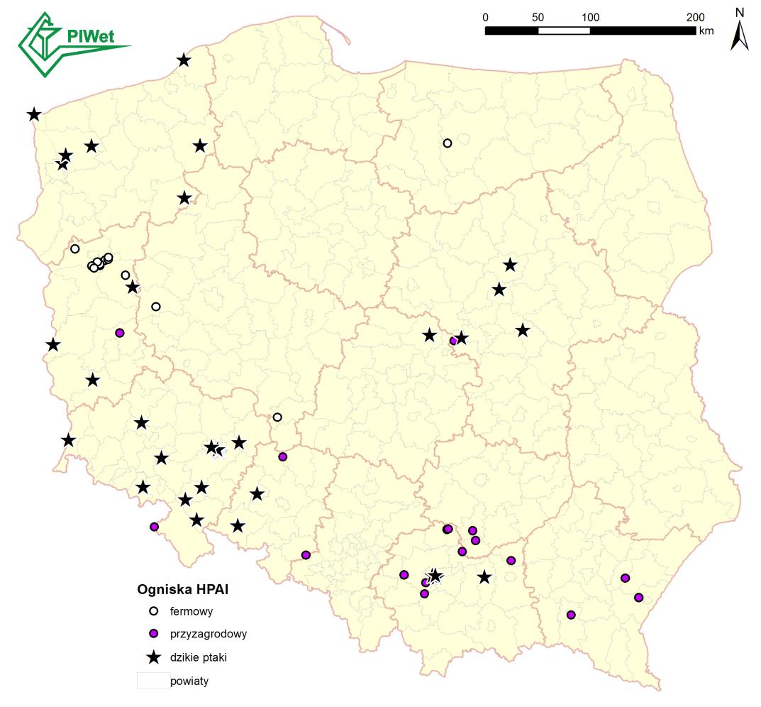 Opis sytuacji w Polsce Od momentu wykrycia pierwszych przypadków H5N8 (listopad 2016 r.