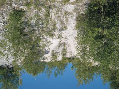 Makroskopowo mo na wyró niæ kilka odmian kaolinów w z³o u Jeg³owa, ró ni¹cych siê g³ównie barw¹. Obok kaolinów czerwonych i ó³tych, za szczególnie wartoœciow¹ odmianê uznawano odmianê bia³¹.