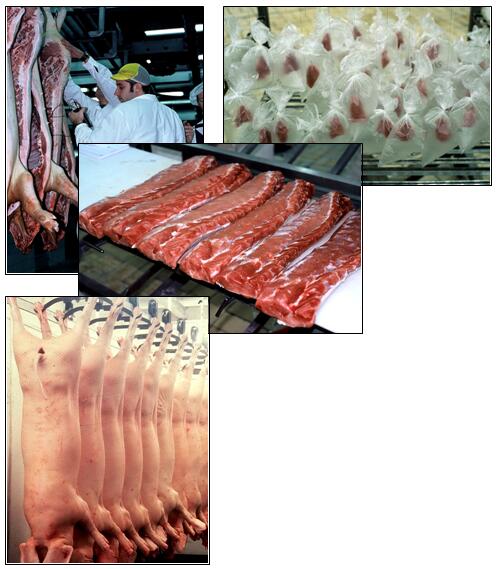 Testy i monitoring produktów PIC Byliśmy wielokrotnie niezależnie oceniani przez naukowców oraz instytuty i zawsze wykazano naszą przewagę jakości naszych tusz i mięsa.