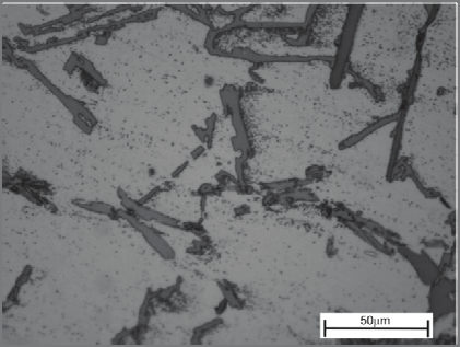 J. Szajnar, M. Cholewa, T. Wróbel, T. Szuter: Cast Al-Si matrix composites reinforced with intermetallic phases.