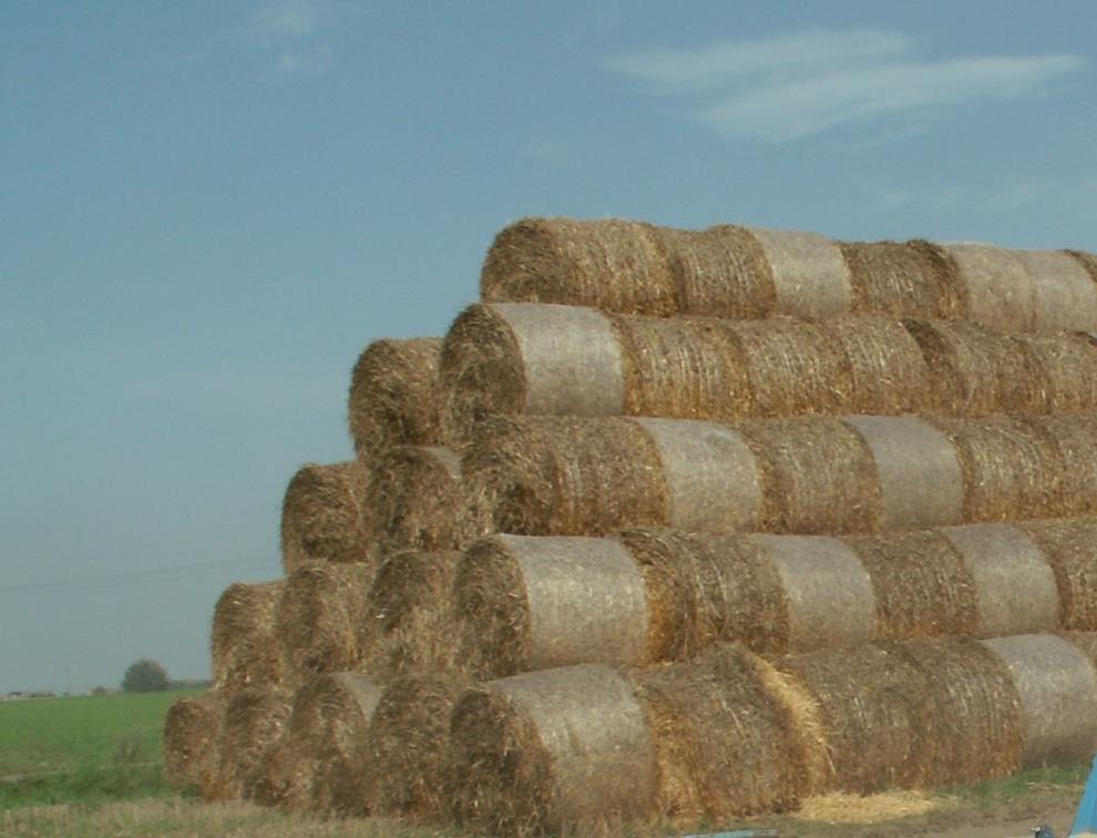 - znaczenie materii organicznej obornik -