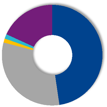 Akcjonariusze wg kraju pochodzenia* Kraje Ogólna liczba akcji Francja 21 972 566 Polska 14 459 805 USA i Kanada 595 051 1,4 1,3 18,2 47,7 Francja Polska USA i Kanada Pozostałe kraje 672 076