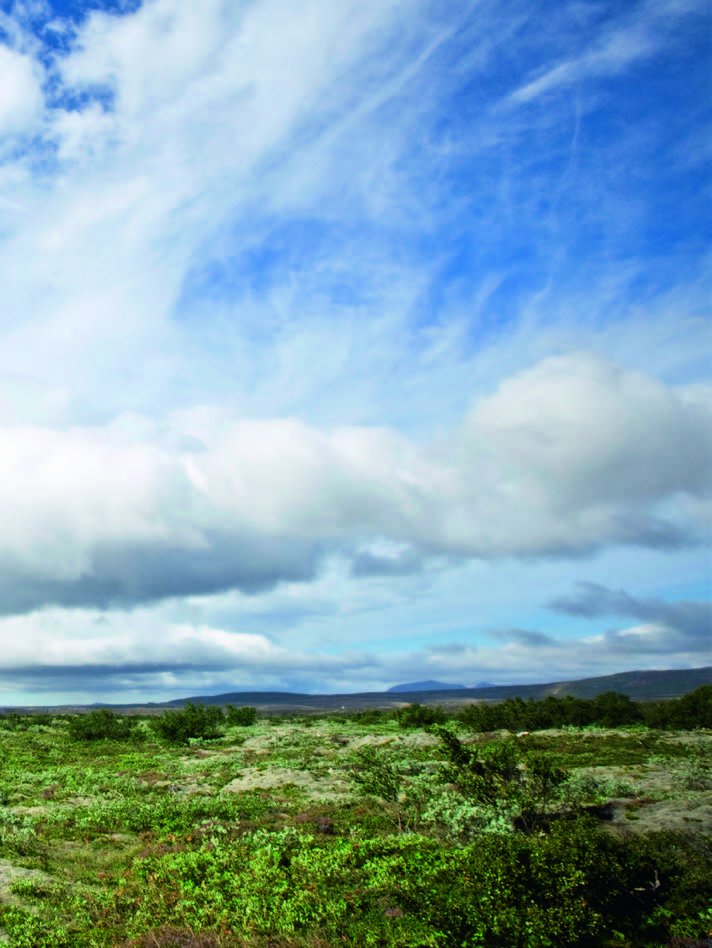 NORDIC ECOLABEL Certyfikowane zrównoważenie ekologiczne Standardy środowiskowe Grupy Europapier w skrócie Etykieta FSC, wprowadzona przez Forest Stewardship Council, gwarantuje, że drewnopochodne