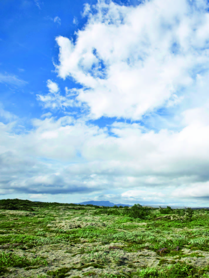 15mm Termin «Carbon Neutral Produkt węglowo neutralny produkt» oznacza, że emisja gazów cieplarnianych związana z produkcją danego wyrobu jest kompensowana poprzez kredyty finansujące projekty