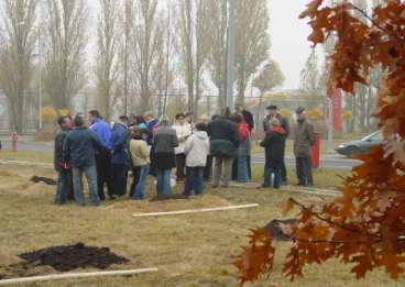 Nasadzenia drzew czynna edukacja pracowników Projekt Kompensacja Przyrodnicza rozpoczęto 1 marca 2005r.