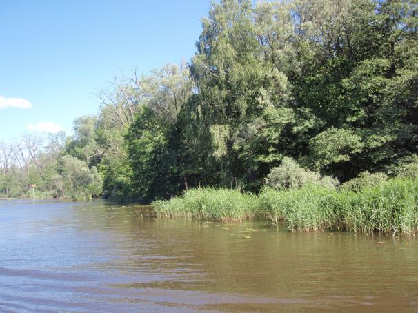 Monthly variability in water level in the Odra mouth