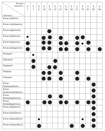 Nagroda Nobla z fizjologii lub medycyny w 2004 roku 151 Ryc. 3. Pierwsze etapy procedury użytej do identyfikacji genów receptorów zapachowych. do 172 podrodzin receptorów zapachowych.