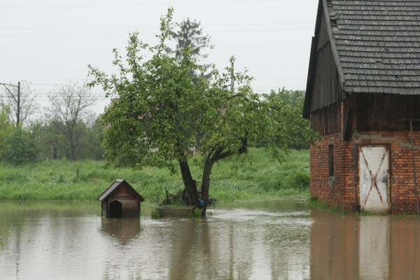 Bardzo interesującym źródłem informacji na temat zmian częstości występowania przepływów najwyższych są wyniki badań Hirabayashi [2008], który odnosząc do stanu wody 100-letniej obliczonej dla okresu