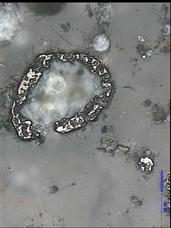 80 Strzałkowska 2016 / Gospodarka Surowcami Mineralnymi Mineral Resources Management 32(1), 71 88 Fot. 1. Niespalona materia organiczna w formie cenosfery, próbka popiołu surowego.