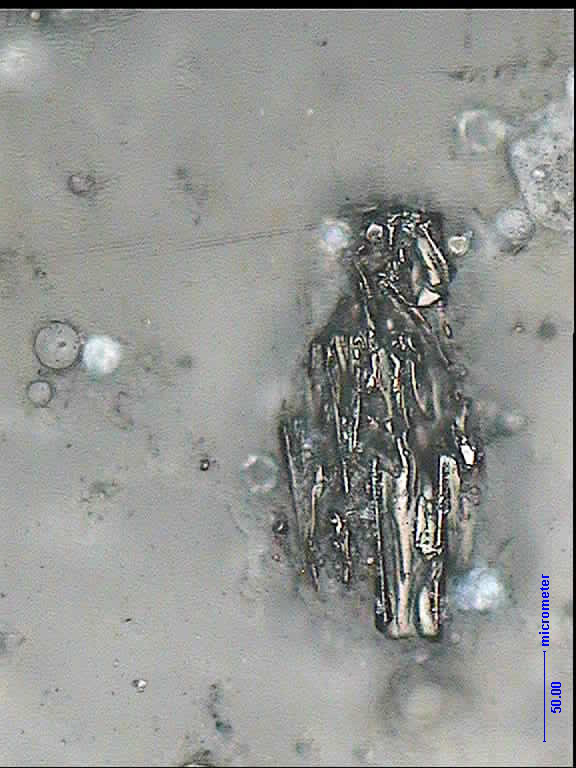 Strzałkowska 2016 / Gospodarka Surowcami Mineralnymi Mineral Resources Management 32(1), 71 88 81 Fot. 3. Niespalona materia organiczna w formie sieci, klasa ziarnowa 0,125 0,09 mm.